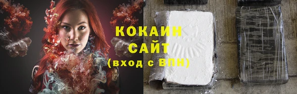 PSILOCYBIN Вязьма