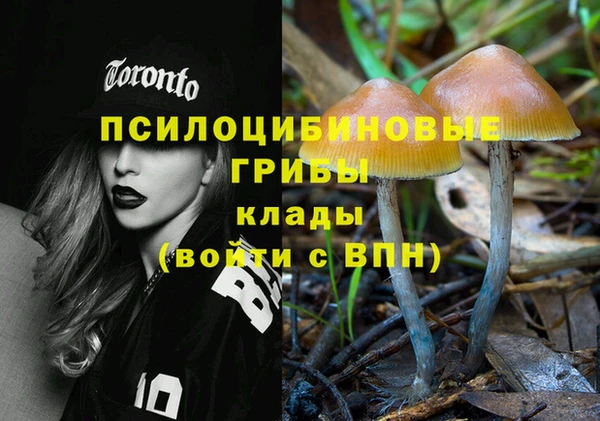 твердый Елабуга