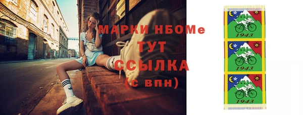 эйфоретик Ельня