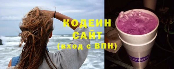 гашик Сосновка