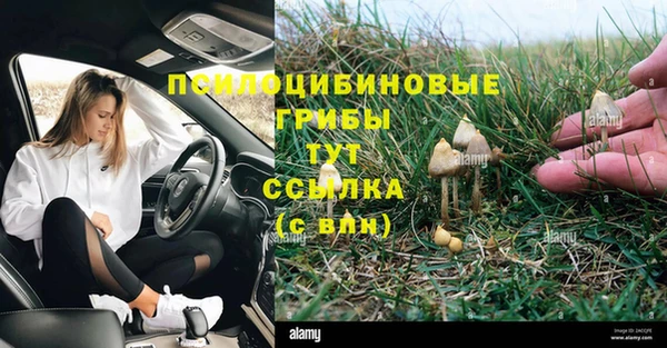 молекула духа Карпинск