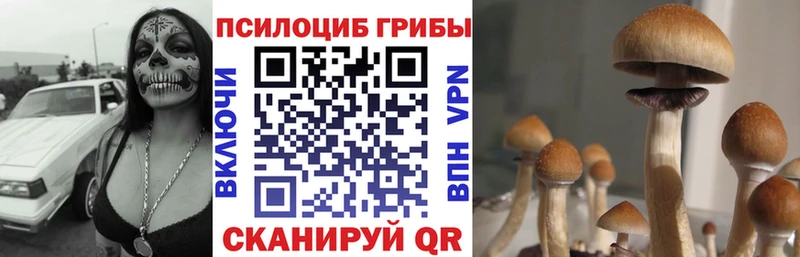 Галлюциногенные грибы GOLDEN TEACHER Грязи