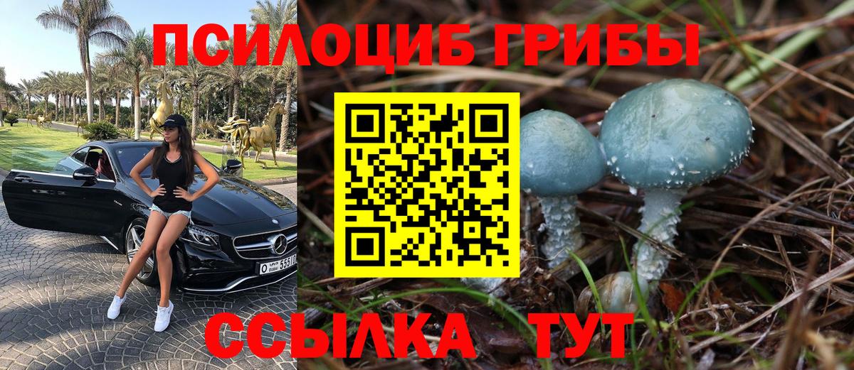 Грязи  Псилоцибиновые грибы Magic Shrooms  Галлюциногенные грибы GOLDEN TEACHER  Вход с VPN 