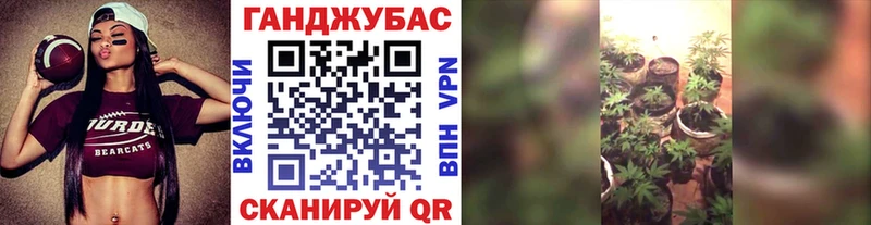 Бошки Шишки индика Грязи